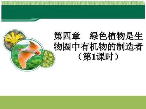 《绿色植物是生物圈中有机物的制造者》教学课件(第1课时)教学设计教案