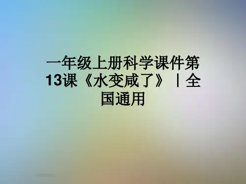 一年级上册科学课件第13课《水变咸了》｜全国通用