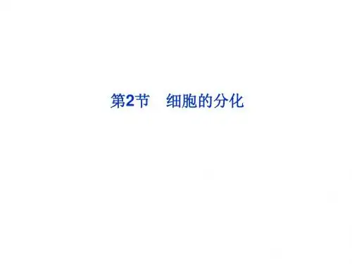 高一生物(人教版 必修一)同步教学课件 第六章第2节