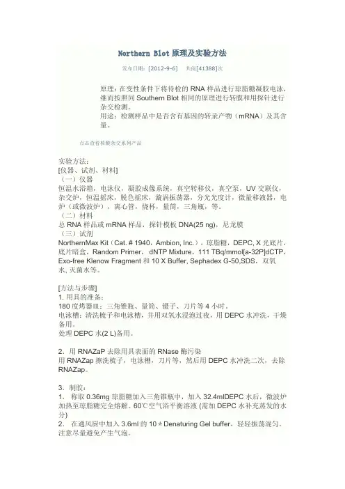Northern Blot原理及实验方法