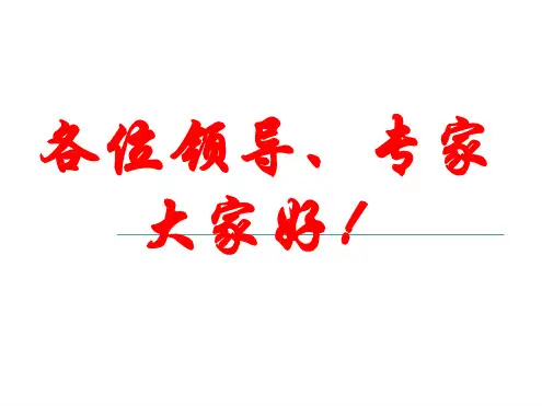 找堵水工艺完善与应用