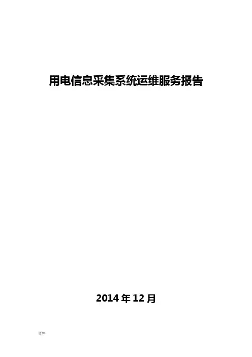 用电信息采集系统运维服务报告