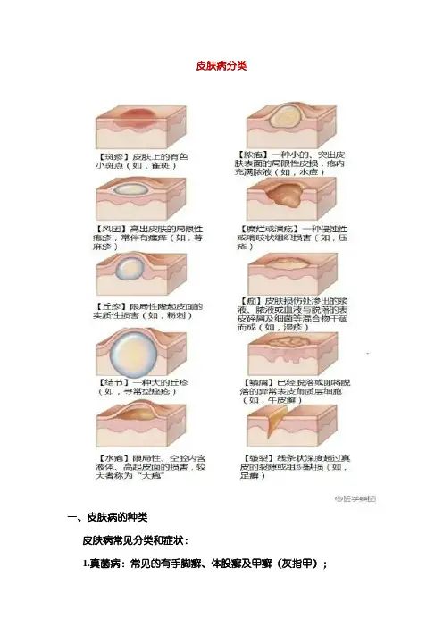 皮肤病分类