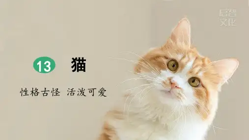 部编版语文四年级下册经典教案 13 猫(第2课时)