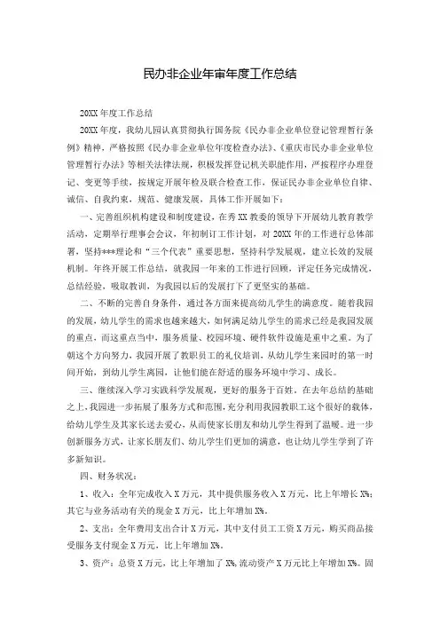 民办非企业年审年度工作总结