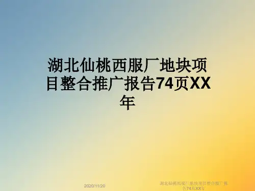 湖北仙桃西服厂地块项目整合推广报告74页XX年