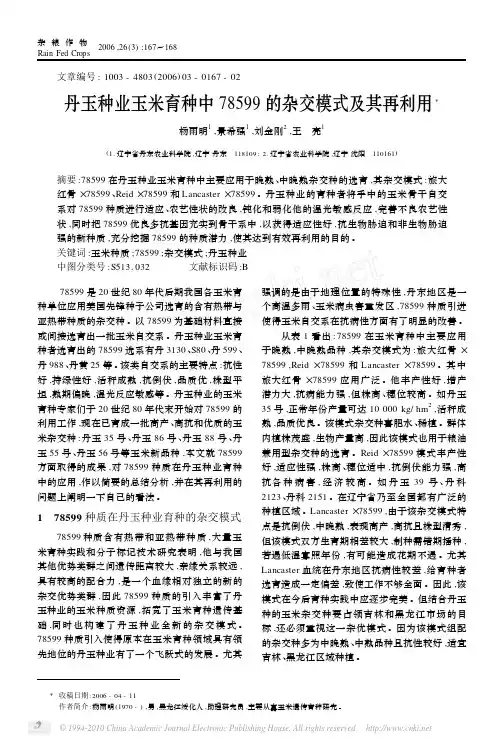 丹玉种业玉米育种中78599的杂交模式及其再利用