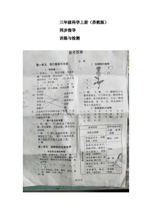 云南省三年级科学上册同步指导参考答案 训练与检测 及配套试卷答案苏教版
