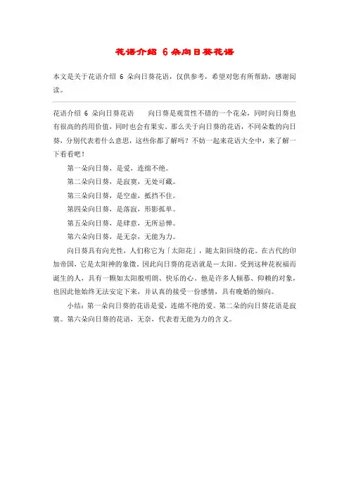 花语介绍 6朵向日葵花语