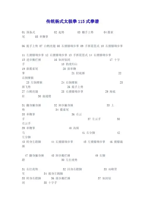 传统杨式太极拳115式拳谱