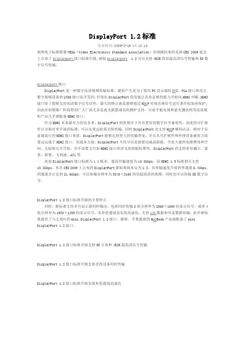 DisplayPort 1
