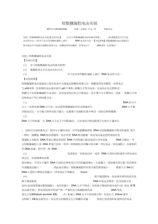 琼脂糖凝胶电泳实验