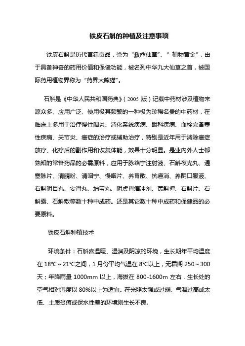 铁皮石斛的种植及注意事项