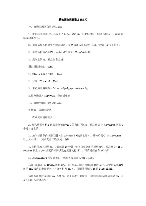 植物组织蛋白提取方法