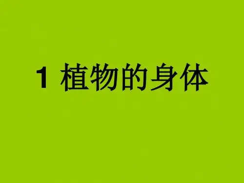青岛版科学四上《植物的身体》PPT课件1