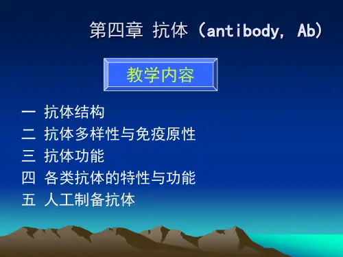免疫学@第四章  抗体