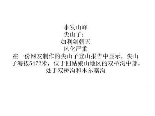 广州女驴友四姑娘山坠崖身亡进山前更换向导【3】