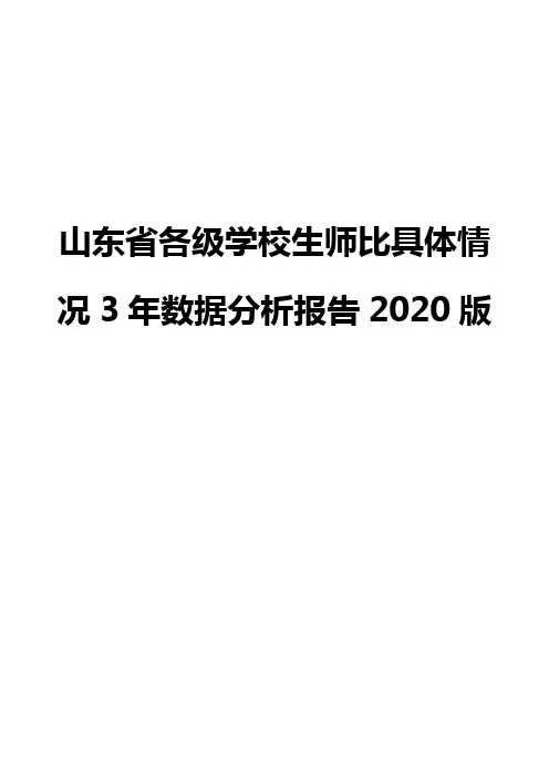 山东省各级学校生师比具体情况3年数据分析报告2020版