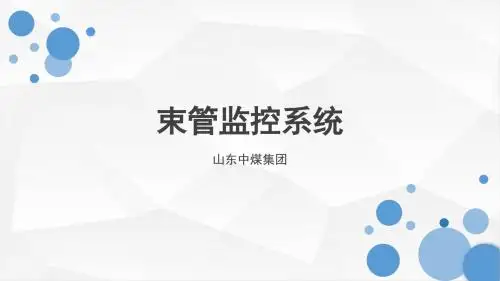 束管监控系统主要特点