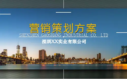 【营销策划】品牌平板电脑营销策划方案