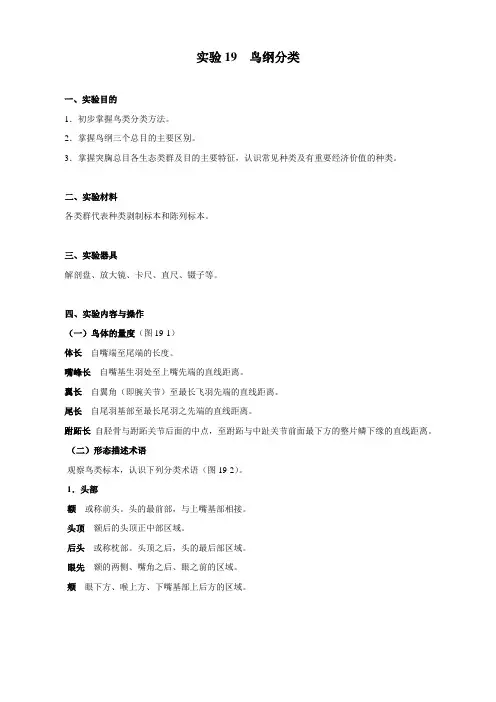 实验19 鸟纲分类