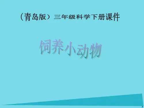2017三年级科学上册饲养小动物课件新人教版