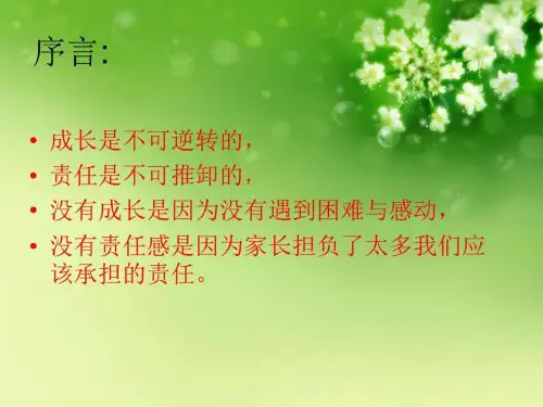 责任我担当主题班会(9)
