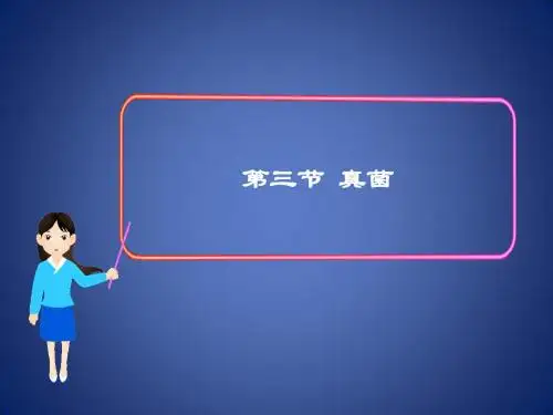 八年级生物上册 第五单元 第四章 第三节 真菌课件1 (新版)新人教版