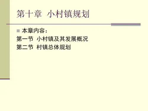 第十章 小城镇规划
