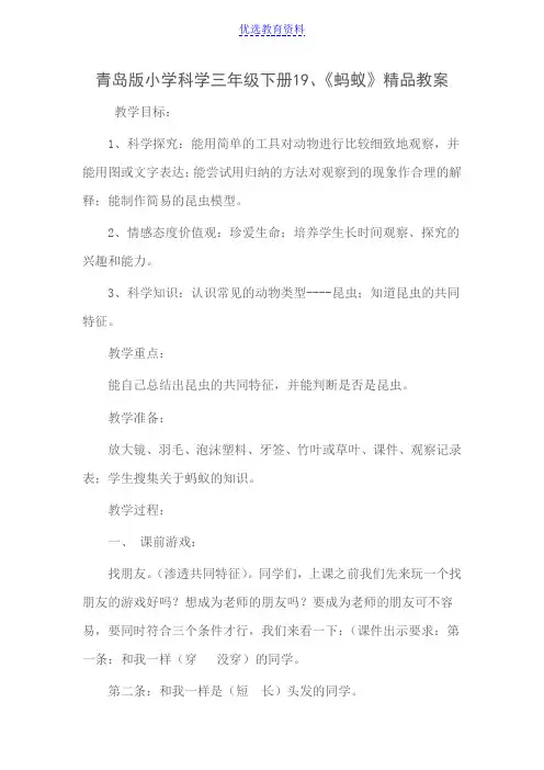 小学科学1《蚂蚁》