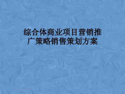 综合体商业项目营销推广策略销售策划方案