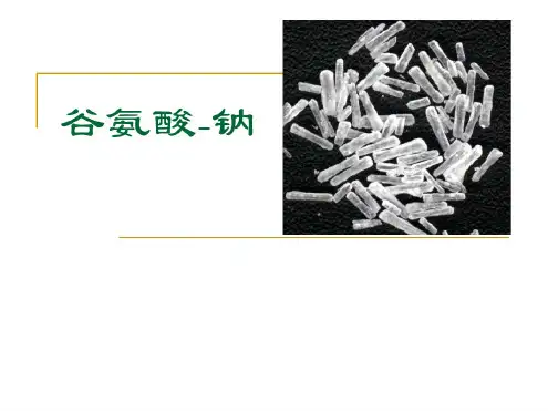 味精生产工艺流程剖析