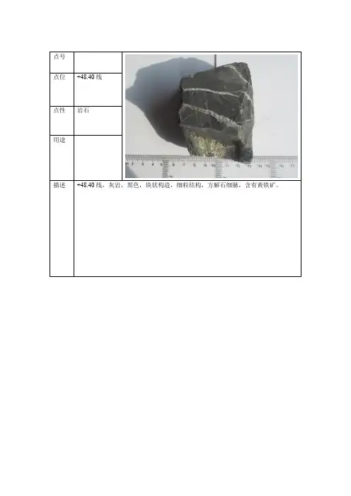 野外样品记录表