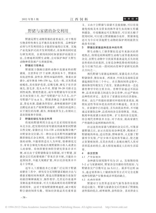野猪与家猪的杂交利用