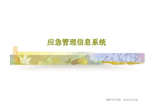 应急管理信息系统共95页文档