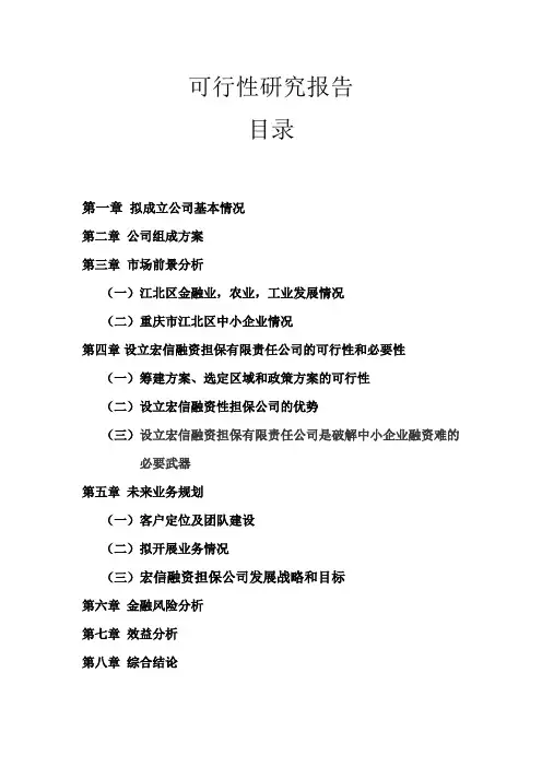 宏信融资担保有限责任公司可行性研究报告
