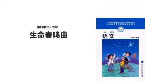 北师大版小学语文六年级下册课件:44生命奏鸣曲(共18张ppt)