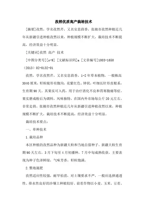 孜然优质高产栽培技术