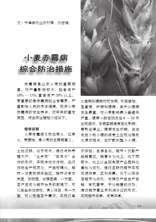 小麦赤霉病综合防治措施