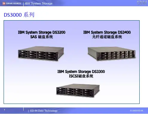 IBM DS3000磁盘阵列结构及指标详解