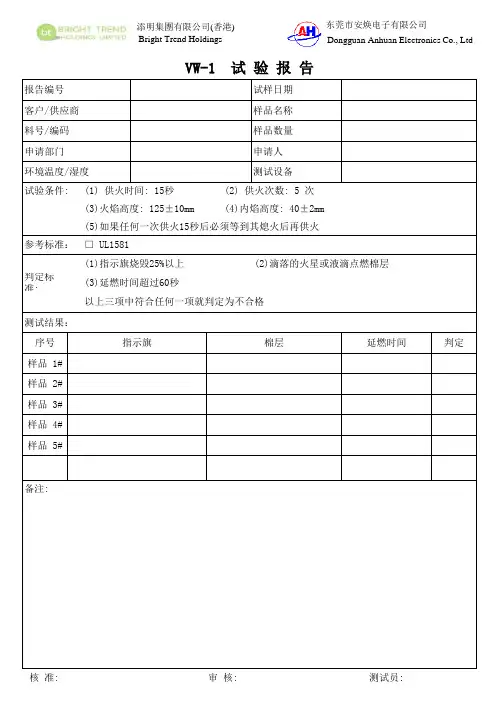 VW-1试验报告