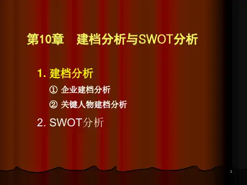 建档分析与SWOT分析