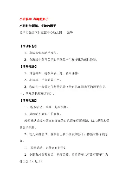 幼儿园小班科学教案    有趣的影子