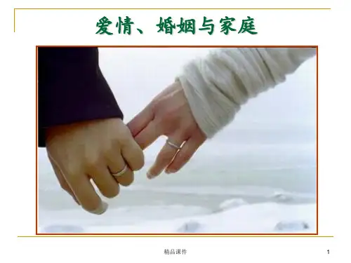 爱情、婚姻与家庭