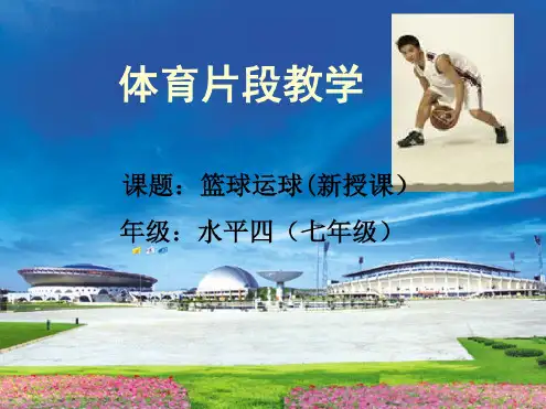 2.篮球(20210207210326)