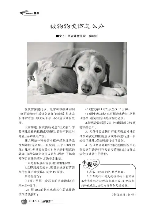 被狗狗咬伤怎么办