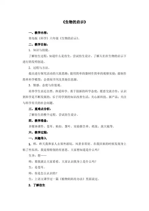 青岛版《科学》六年级《生物的启示》。教案
