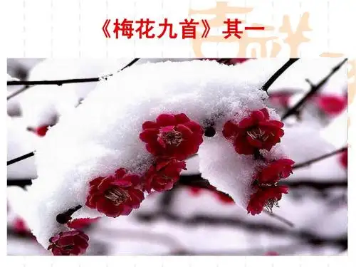 高启《梅花九首》其一