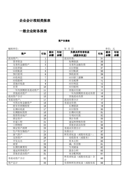2013版财务报表模板.