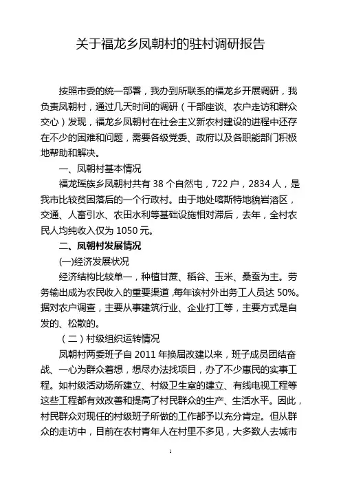驻村调研报告